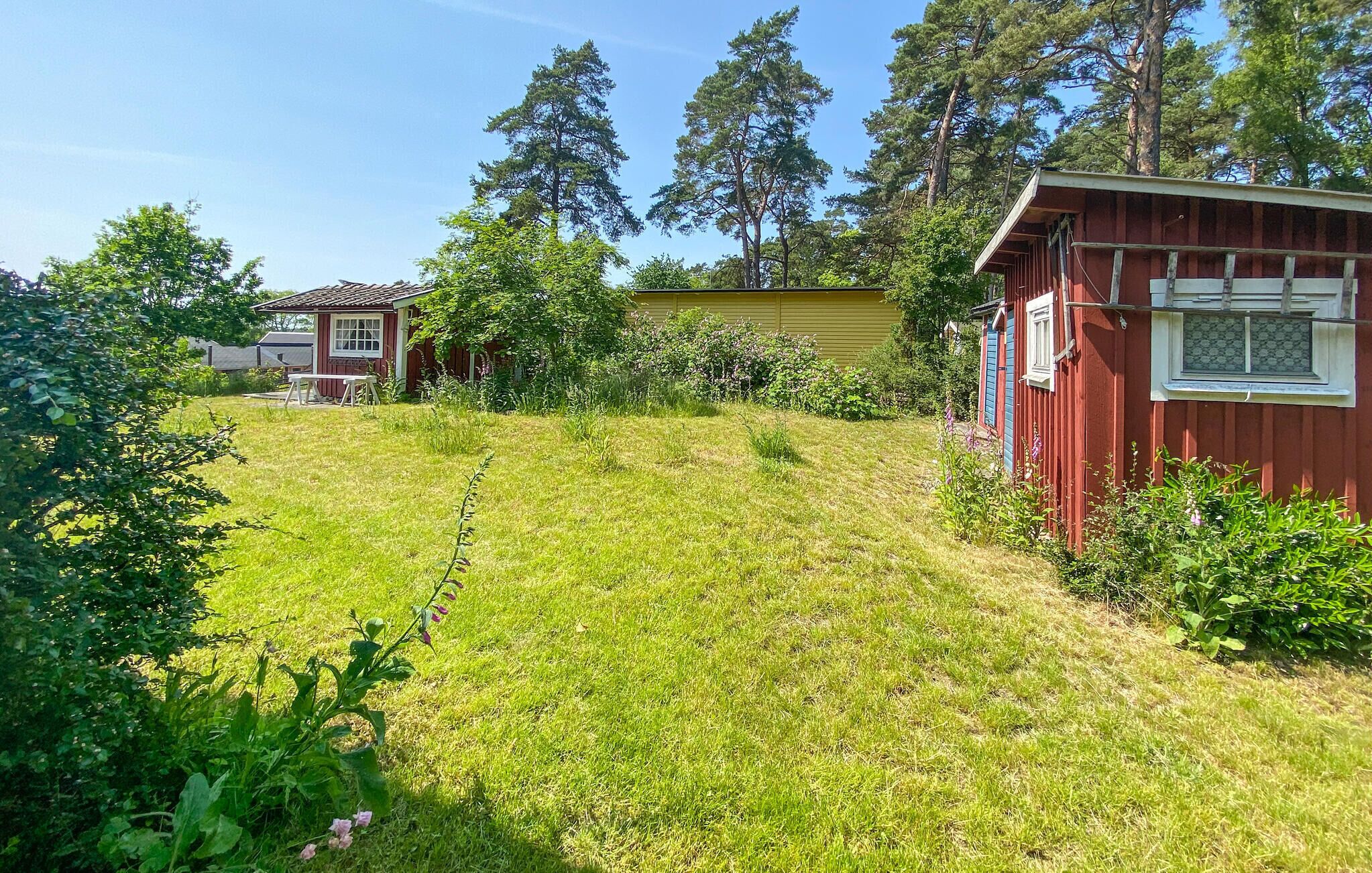 Ett bostadsområde med två hus, ett rött och ett gult, omgivet av grönska och träd.