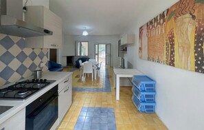 Fridge, stovetop, cookware/dishes/utensils
