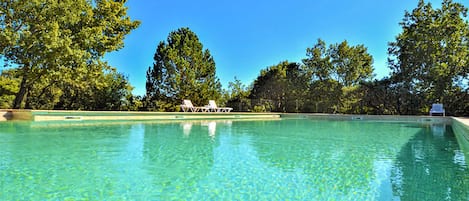 A clear swimming pool with lounge chairs and trees in the background.