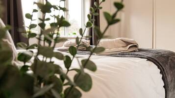 Escritorio, tabla de planchar con plancha, wifi y ropa de cama