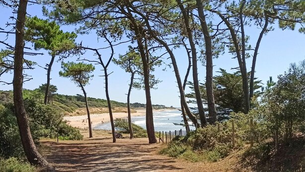 A dirt path leading to a beach with trees on either side. - Beautiful home in Jard-Sur-Mer with WiFi (Jard-Sur-Mer)