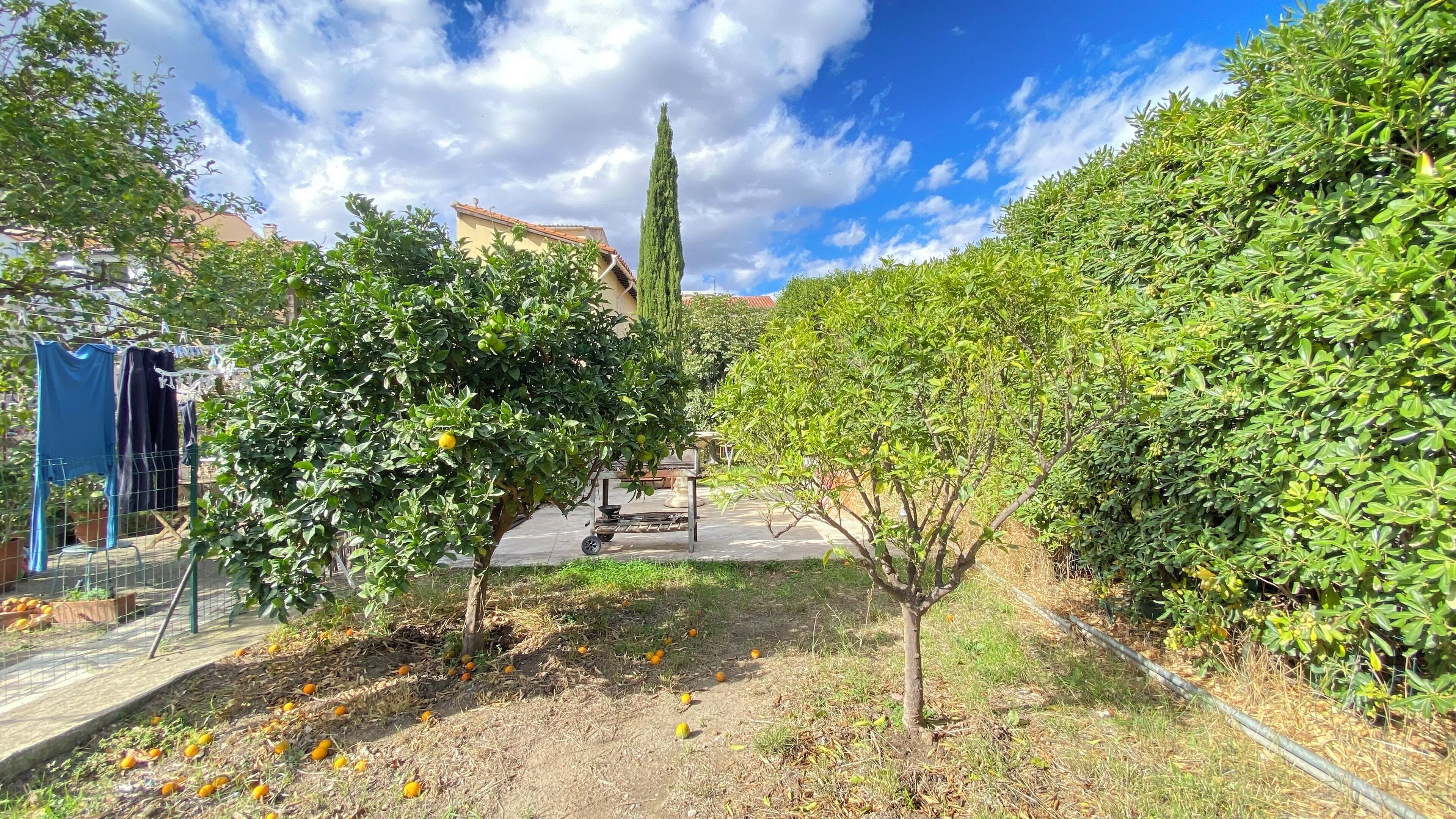 Un jardín con árboles, una pérgola y un edificio al fondo.