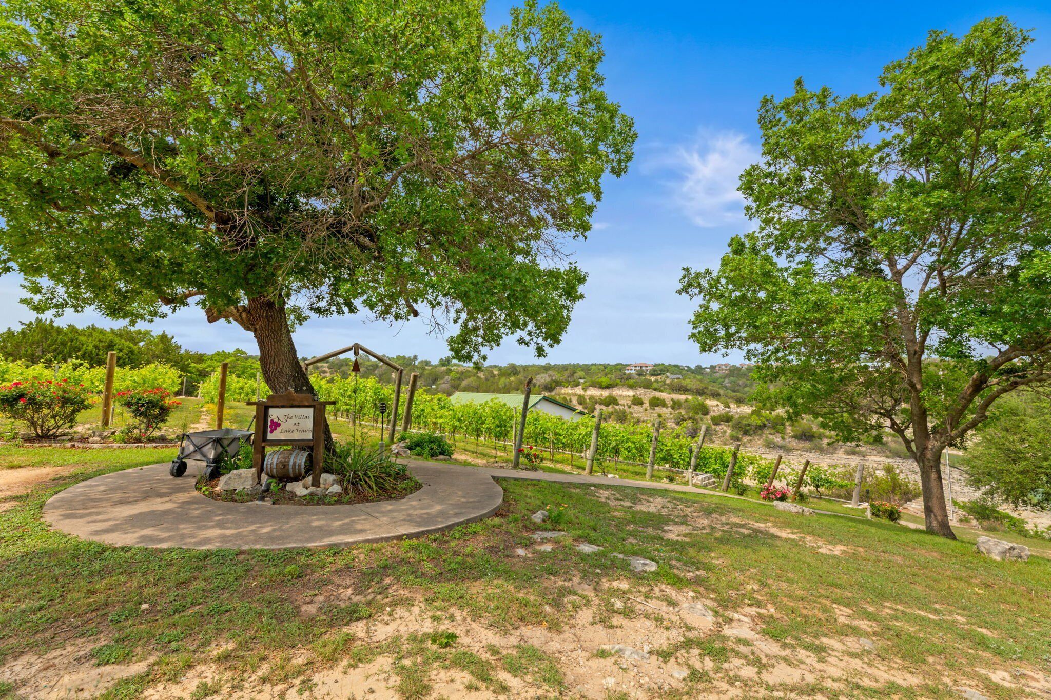 Viñedo con un cartel que dice "La Vigna Lake Vineyard".