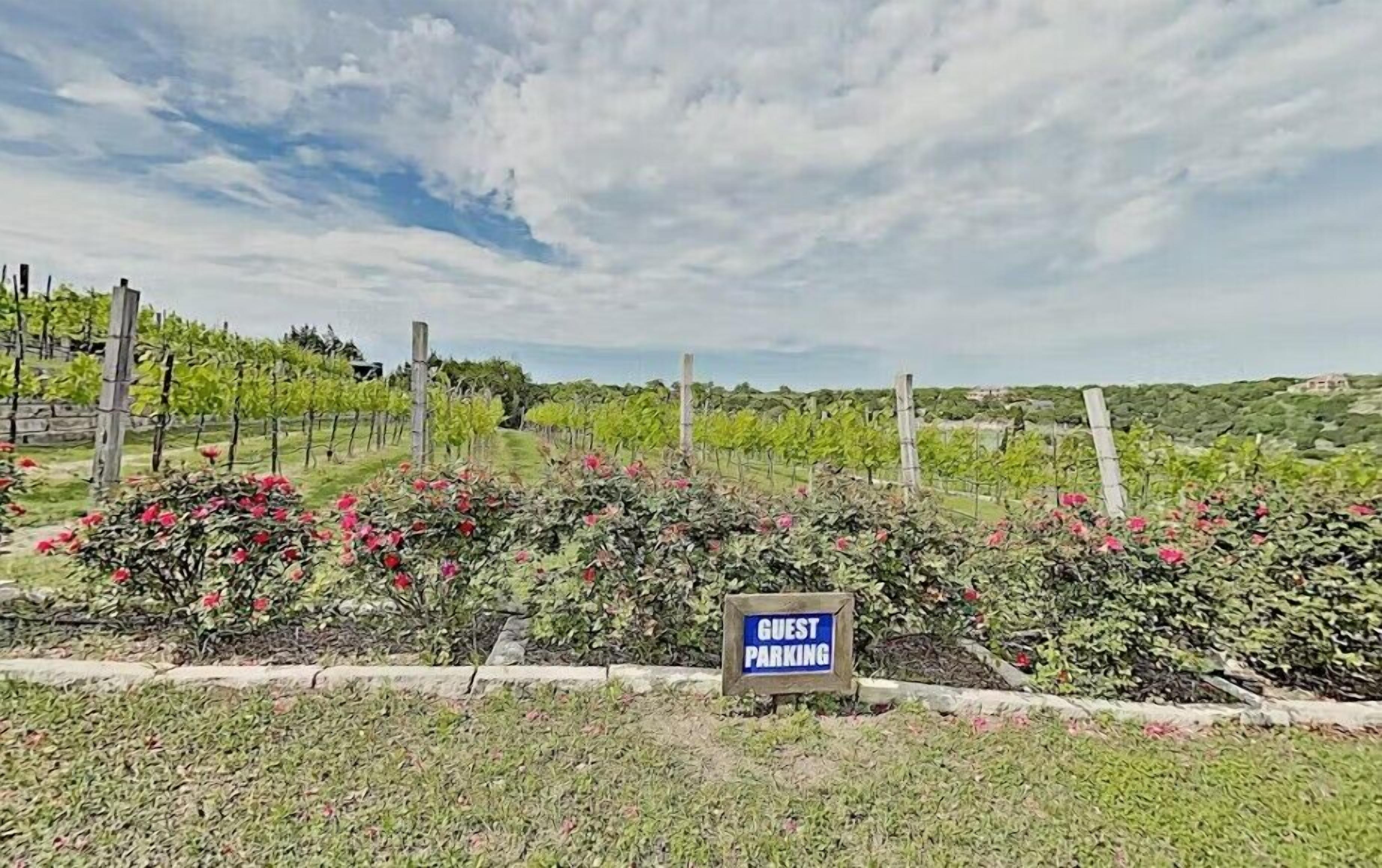 A vineyard with a 'GUEST PARKING' sign.
