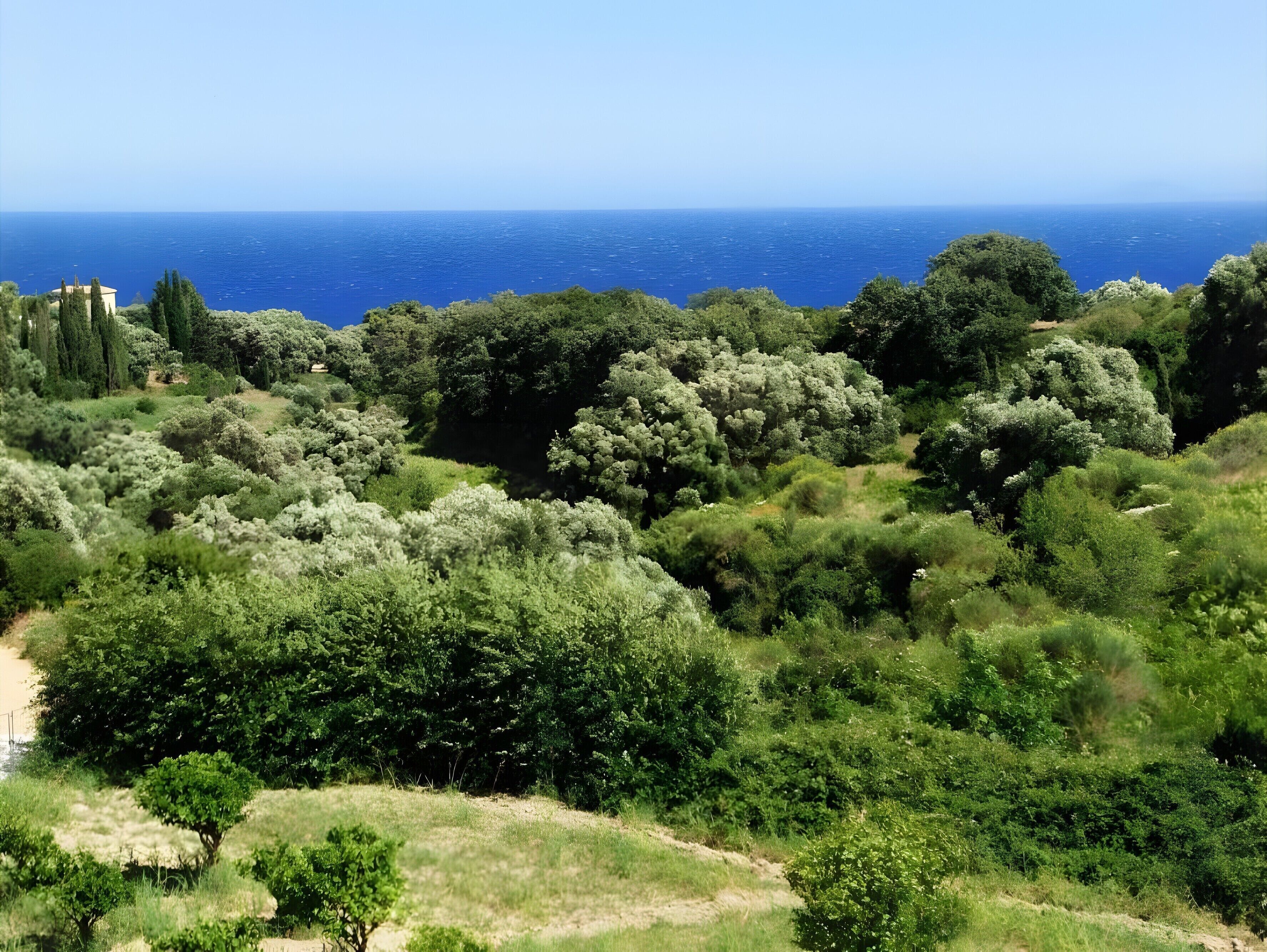 A coastal landscape with dense greenery and a view of the sea.
