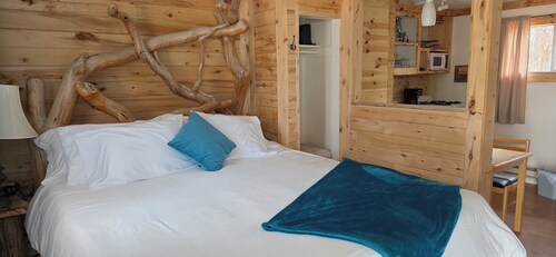 Tranquil Aspen Retreat with Full Kitchen & Cozy Charm at the Cedaredge Lodge.