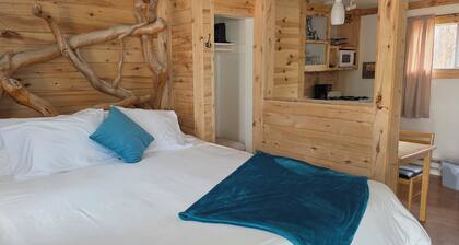 Tranquil Aspen Retreat with Full Kitchen & Cozy Charm at the Cedaredge Lodge.