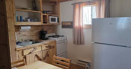 Tranquil Aspen Retreat with Full Kitchen & Cozy Charm at the Cedaredge Lodge.