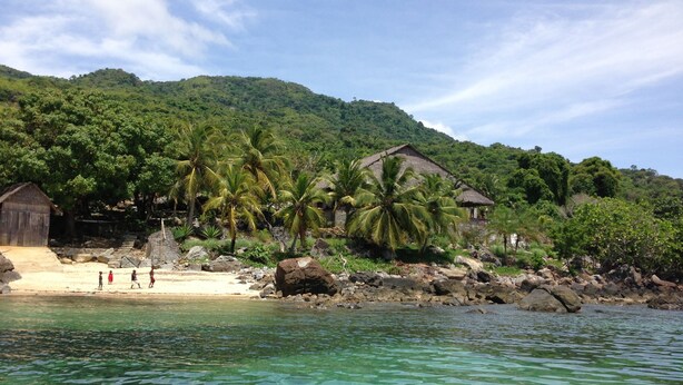 A beach with clear water, palm trees, and a mountain in the background. - LODGEALLINCLUSIVE house transfers meals all included  (Région Diana)