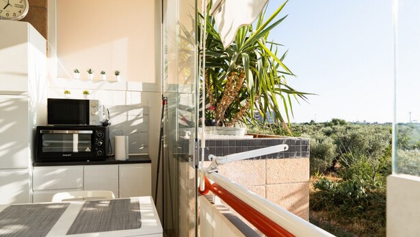 A balcony with a kitchen area, including a microwave, toaster, and potted plants. - GuestHost - La Casa di Polly (Bitritto)