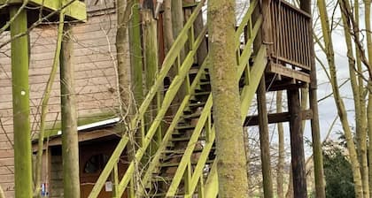 Cabin in the woods with 2 bedrooms