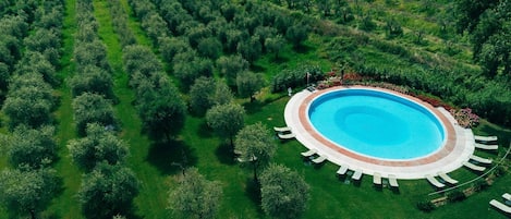 Alberca