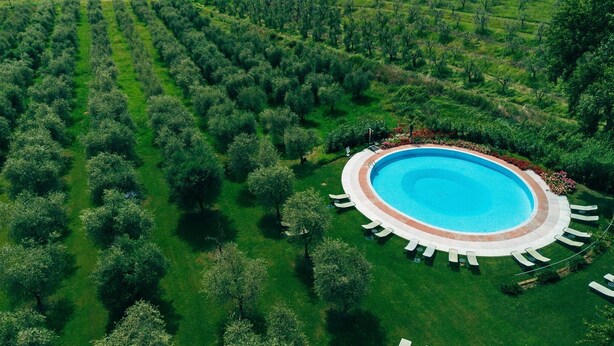 Vista aérea de un jardín ajardinado con una piscina circular rodeada de una terraza pavimentada y sillas de descanso.