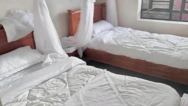 Une chambre avec deux lits, chacun doté d’une tête de lit en bois et de draps blancs.
