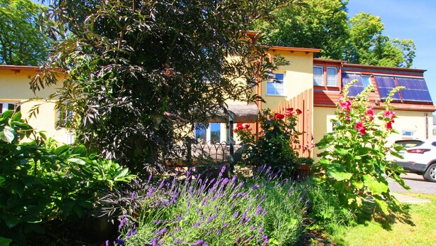 Un bâtiment jaune doté d’une terrasse en bois, entouré d’une végétation luxuriante et de fleurs violettes.