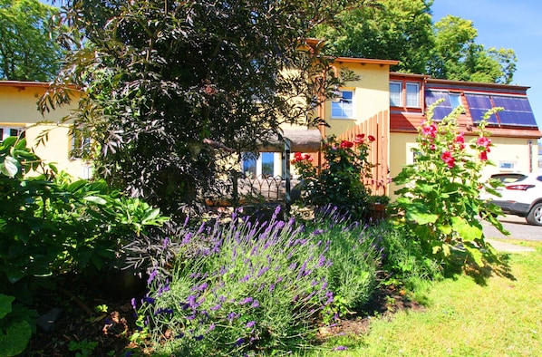 Apartment | Garden - Einladende Ferienwohnung in Wiek mit Garten (Wiek)