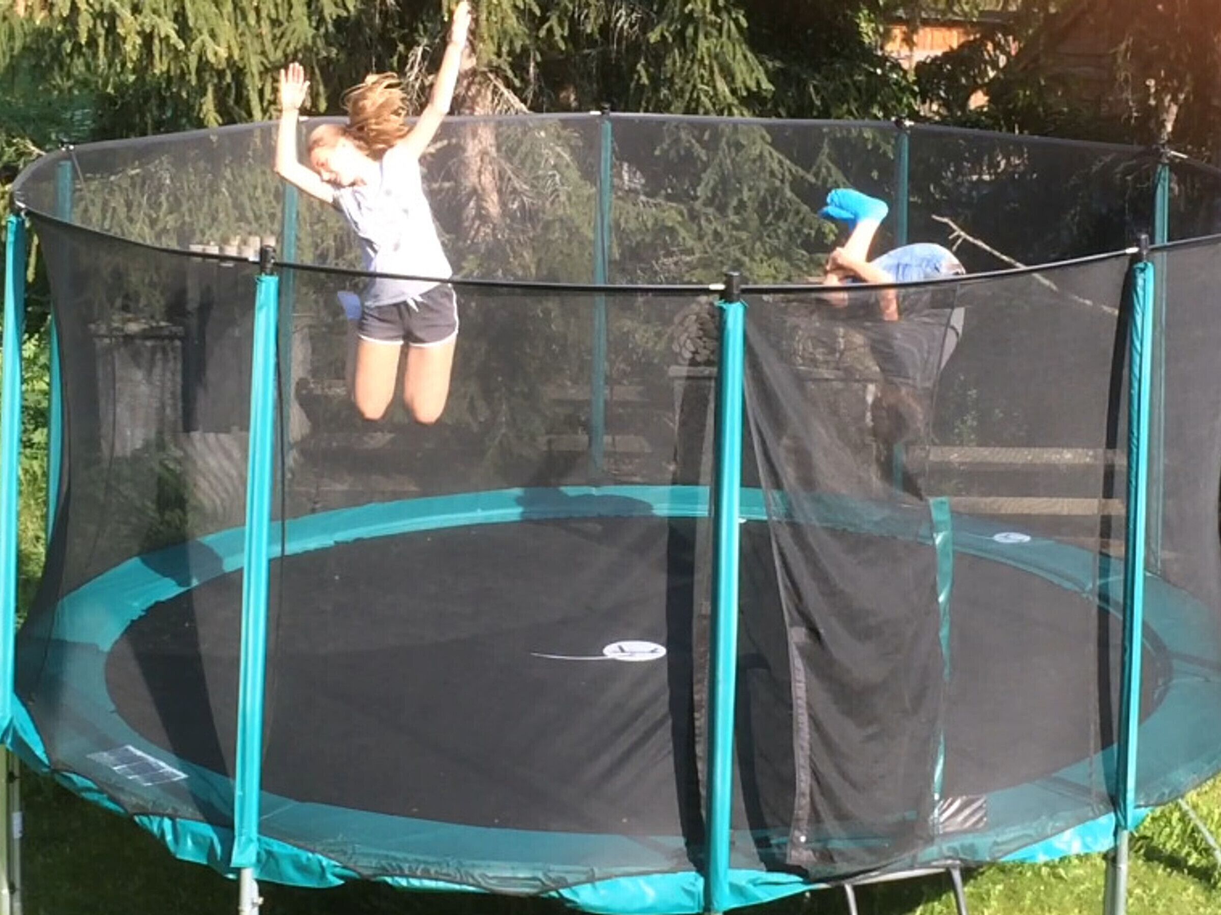 A trampoline with a safety net, surrounded by greenery.