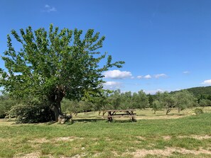 Jardines del alojamiento