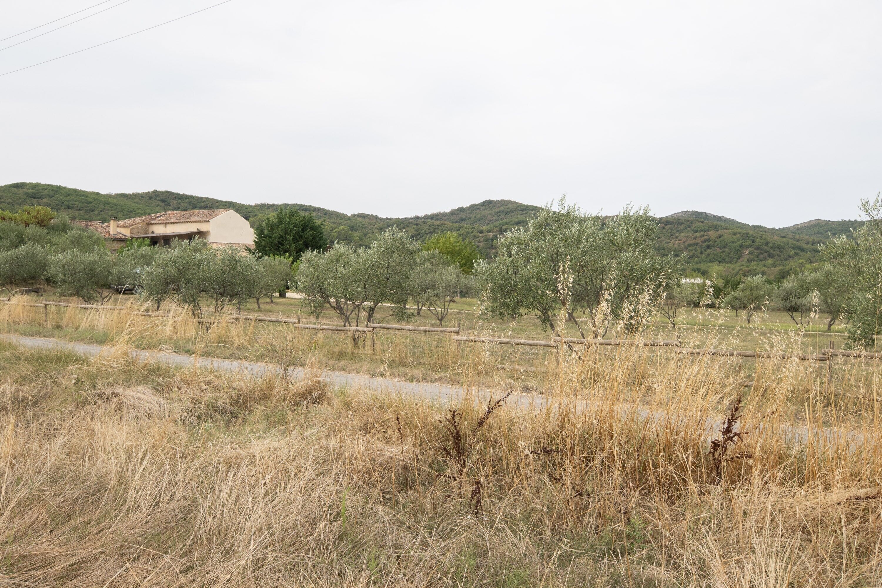 A rural landscape with a building, trees, and hills.