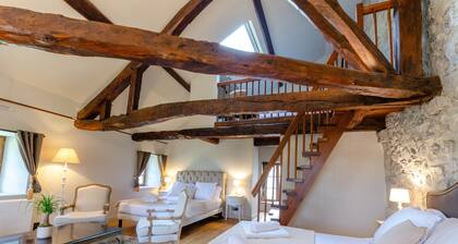 Chambre d'hôtes- château de la rive - 10 personnes