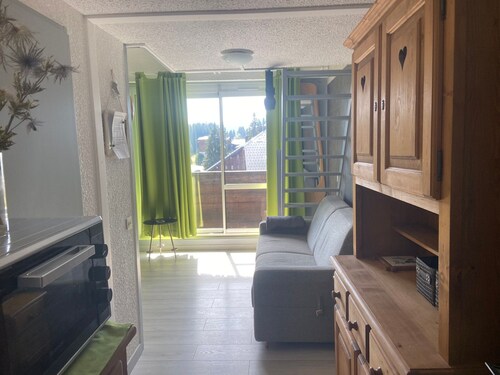 Mezzanine Apartment for 6, Near Slopes in Le Praz de Lys