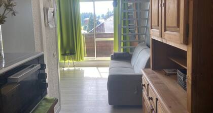 Mezzanine Apartment for 6, Near Slopes in Le Praz de Lys