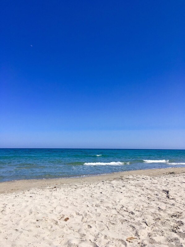 Lettini da mare