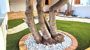 Un espacio ajardinado con tres árboles plantados en círculo, rodeado de guijarros blancos y césped verde.