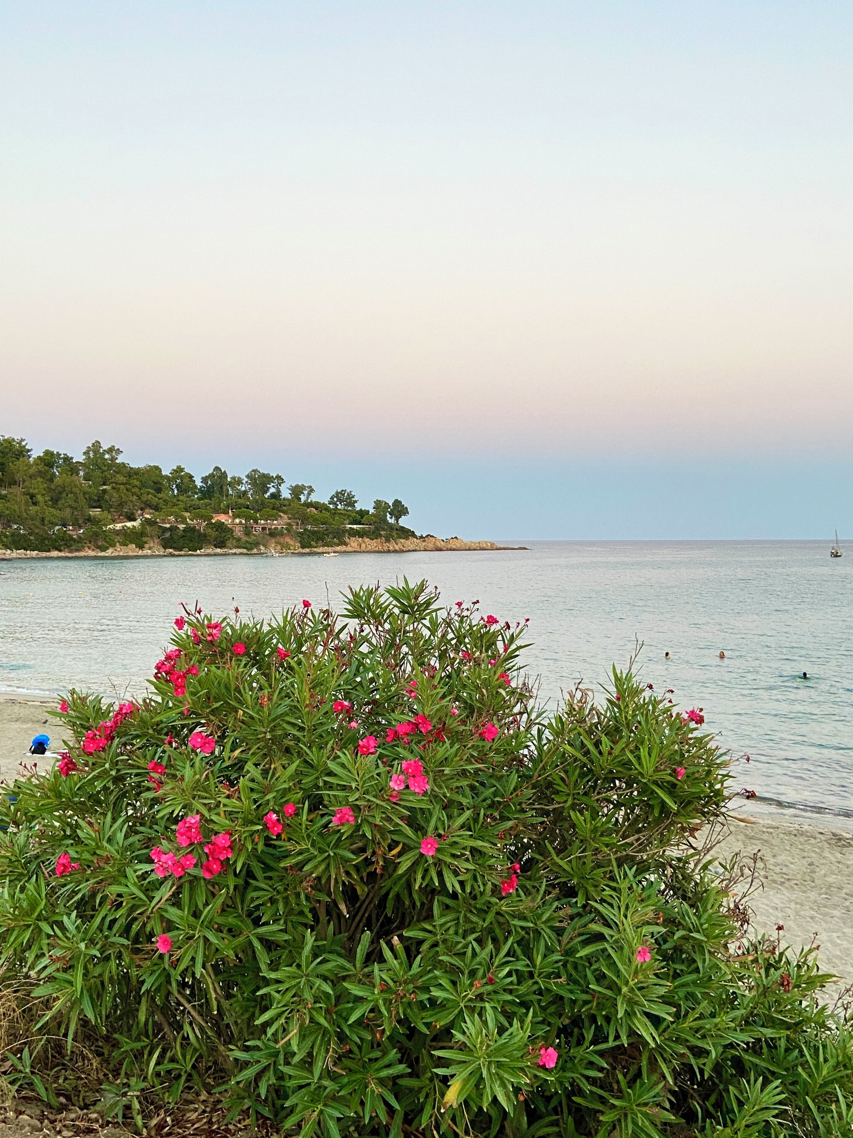A coastal landscape with a body of water, a beach, and a hill with vegetation.