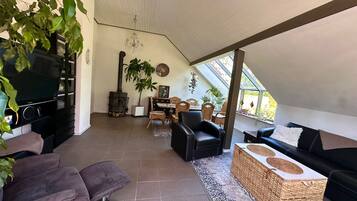 Smart-TV, Kamin, Videospiele, DVD-Player