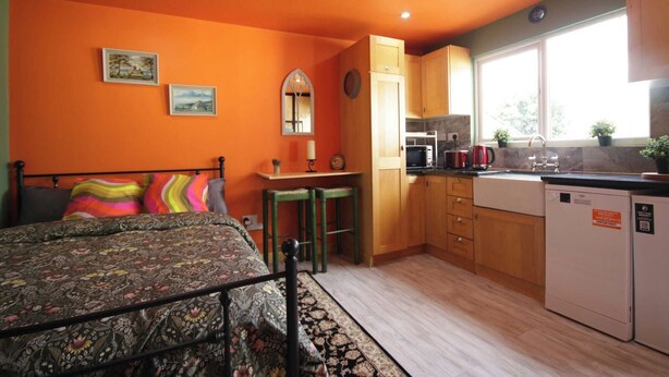Une chambre comprenant un lit, un bureau et une kitchenette équipée d’un réfrigérateur et d’un évier.