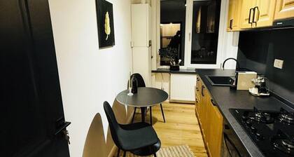Aman 20, apartament in regim hotelier in Centrul Vechi al Orasului Craiova.