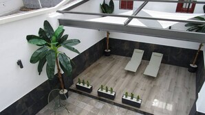 A modern indoor space with a tiled floor, a large potted plant, and several small potted cacti. - Travel Habitat Ruzafa Green House Patio (València)