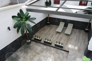 A modern indoor space with a tiled floor, a large potted plant, and several small potted cacti.