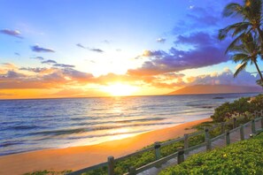 Une scène de plage au coucher du soleil, avec une promenade en bois et des palmiers.
