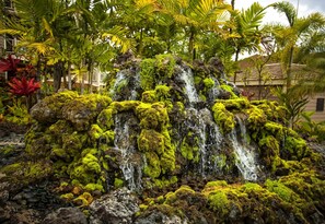 Une cascade dont les rochers sont recouverts de mousse, entourée de plantes tropicales et de palmiers.