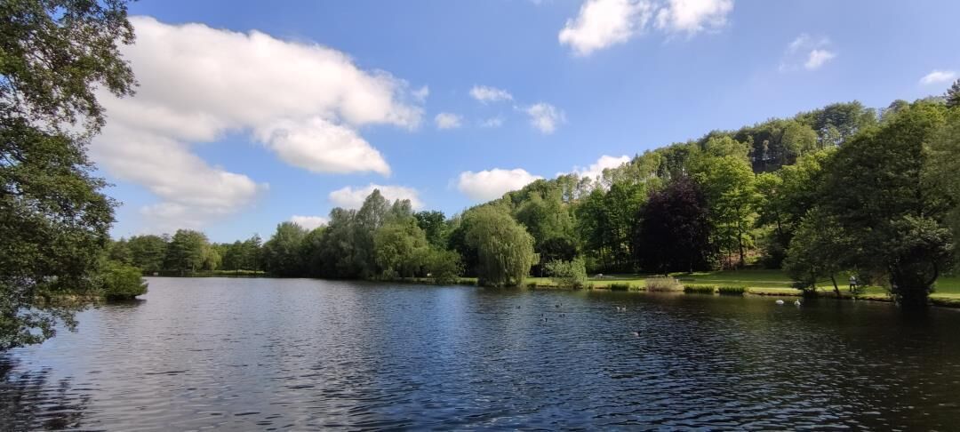 Un lac paisible, bordé d’une végétation luxuriante et d’arbres.