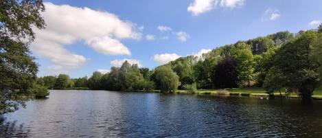Un lac paisible, bordé d’une végétation luxuriante et d’arbres.