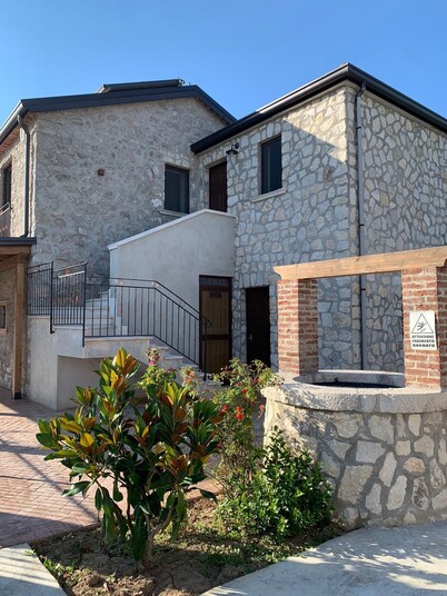 il Corticato