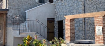 il Corticato