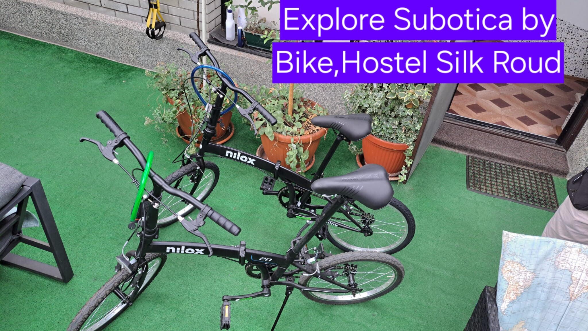 Two bicycles parked on a green surface, possibly a garden or courtyard area, with potted plants nearby.