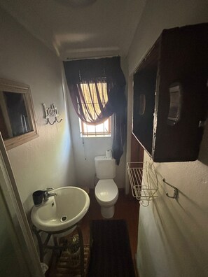 Shower, towels, soap, toilet paper