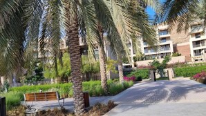 A paved pathway lined with palm trees and benches, leading to a building with multiple windows and balconies. -  Two Bedroom Apartment Muscat Bay (Bandar Jissah)
