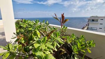 Departamento, 1 habitación, con acceso para personas discapacitadas, balcón | Áreas de la propiedad