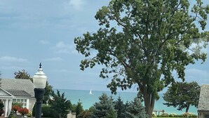 Ein Wohngebiet mit einem großen Baum, einer Straßenlaterne und Blick auf das Meer.