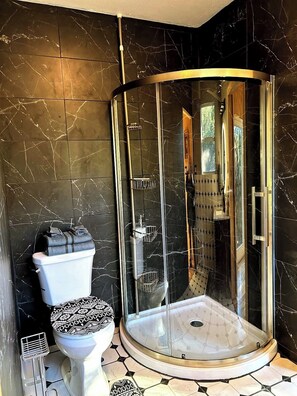 Regadera, tina de hidromasaje, secadora de cabello, toallas