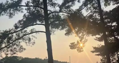 Waterfront Charming Muskoka Cottage