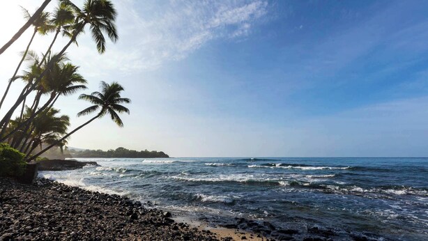 Una playa con palmeras y olas del océano.