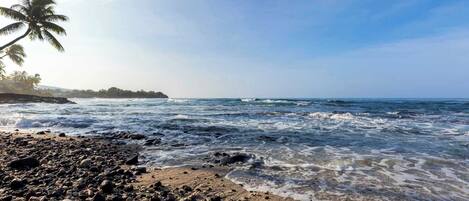 A rocky beach with waves, palm trees, and a clear sky.