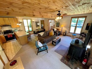 Smart TV, fireplace, books